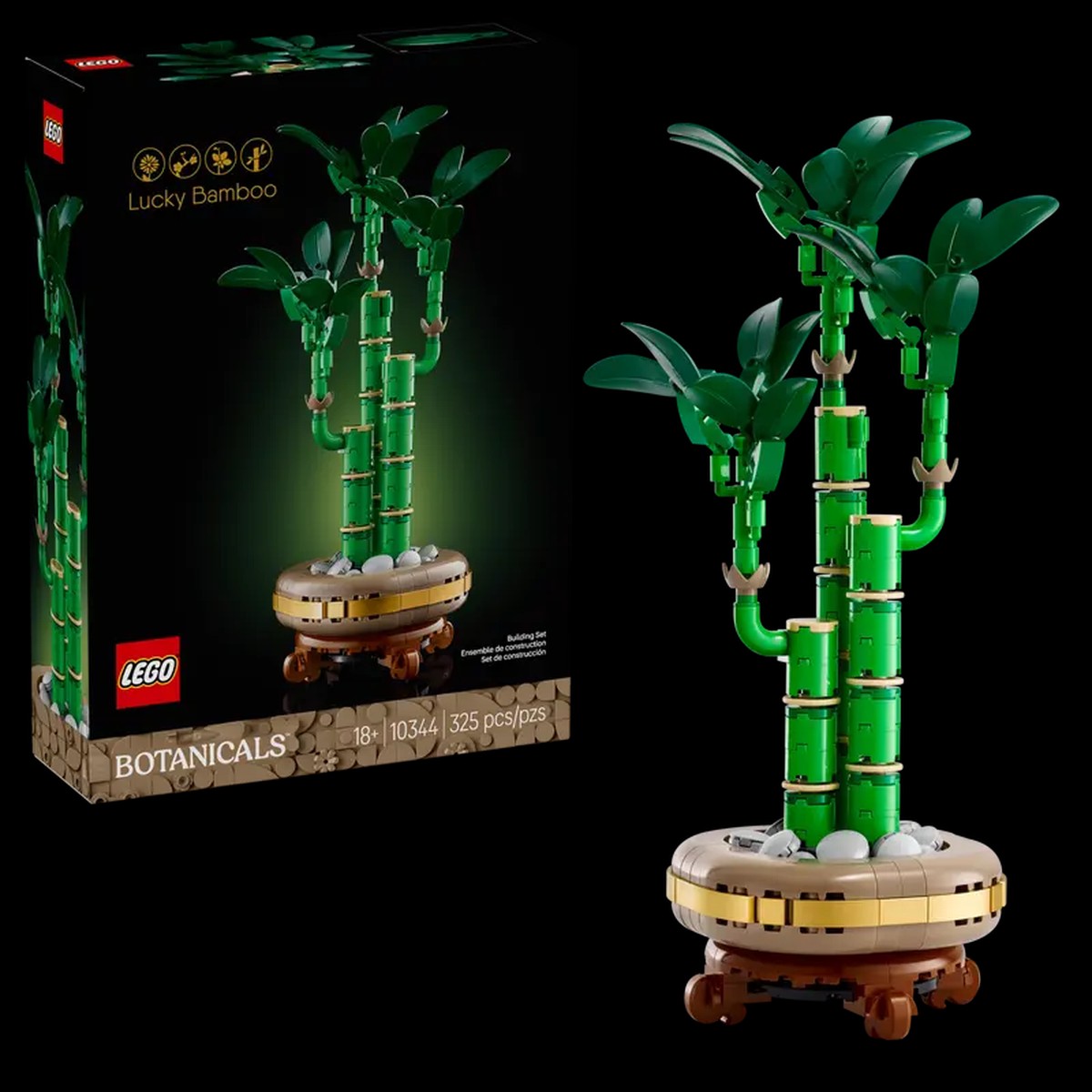 Botanicals Lucky Bamboo
