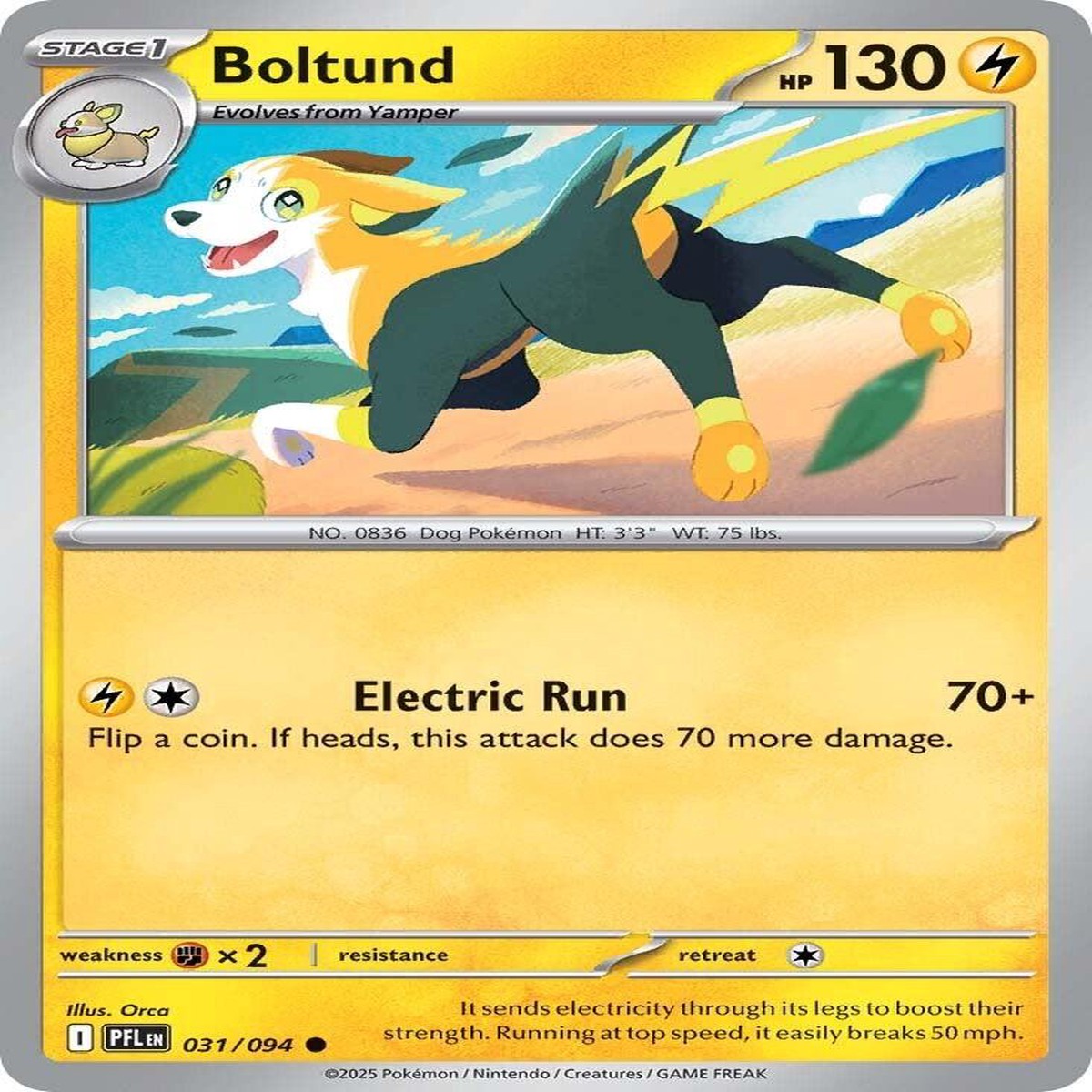Boltund (031/094) [Mega Evolution: Phantasmal Flames] - NM