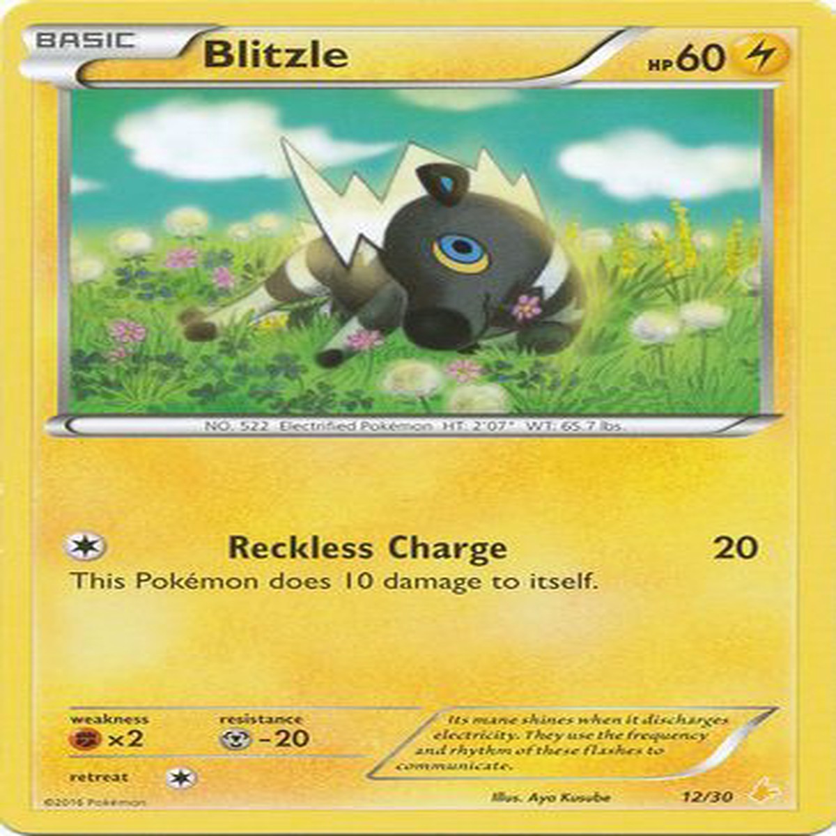 Blitzle (12/30) [XY: Trainer Kit 3 - Pikachu Libre] - NM